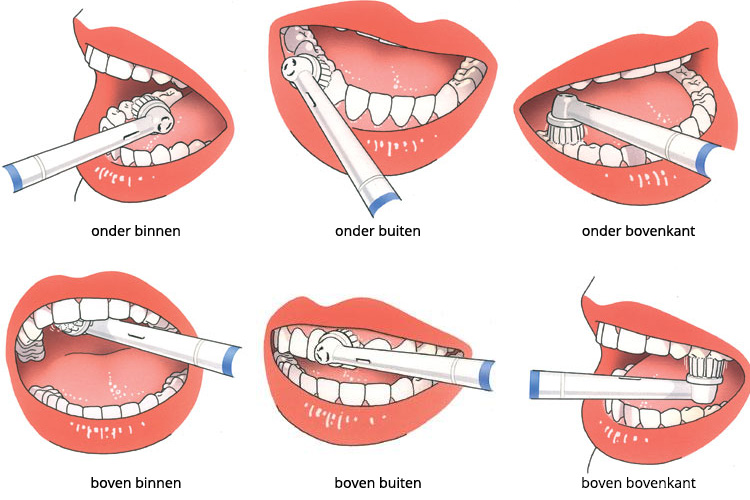 hoe tanden poetsen | poets je je tanden het